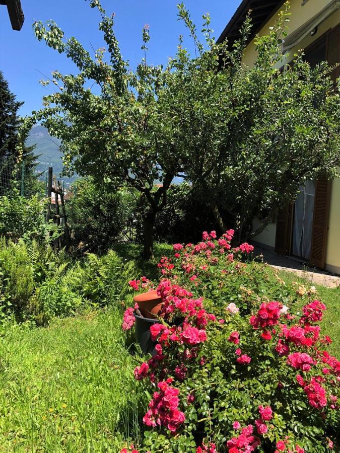 The Children Smile- With Private Garden Apartment Колико Екстериор снимка